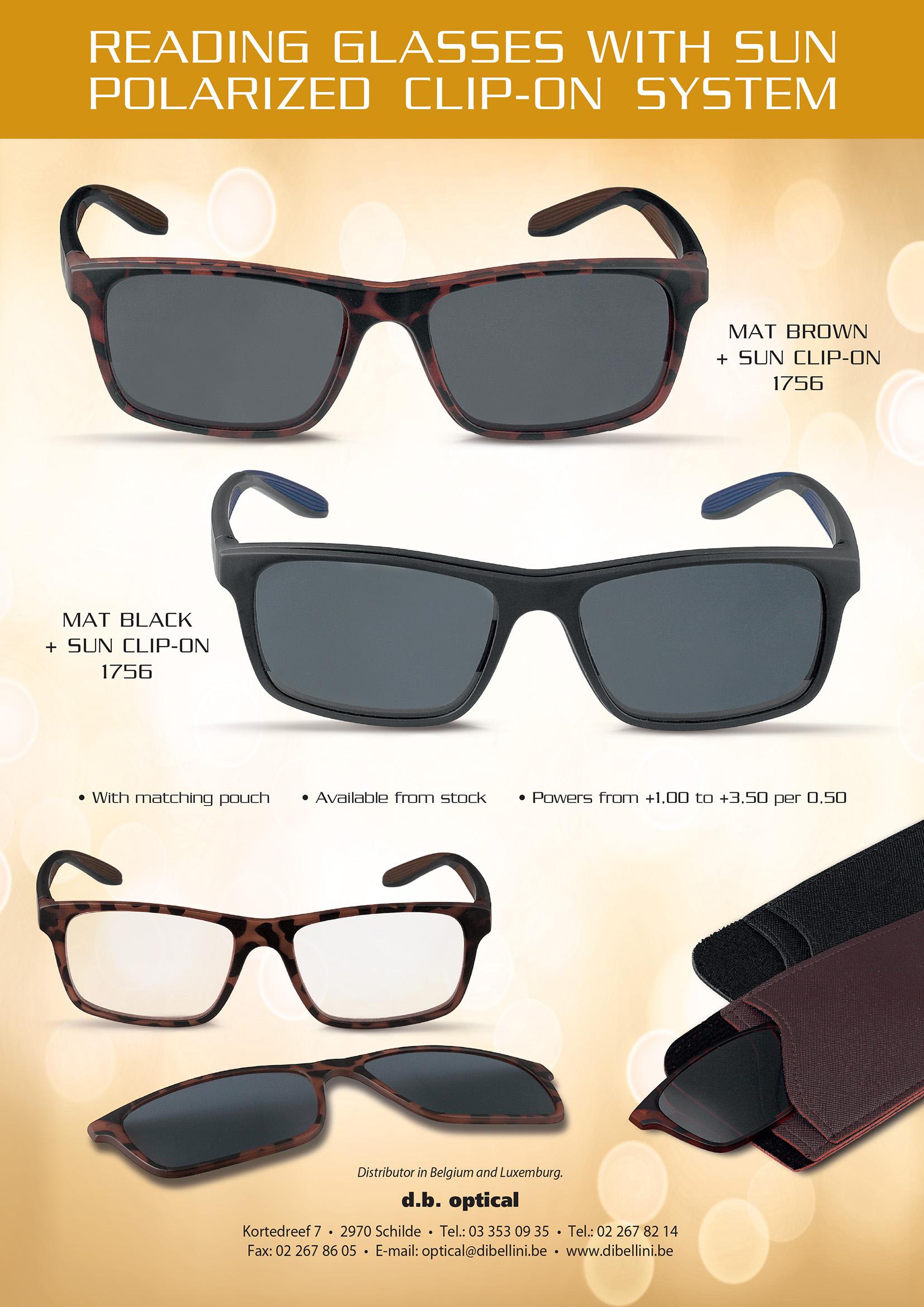 reading glasseswith sun polarized clip- on system